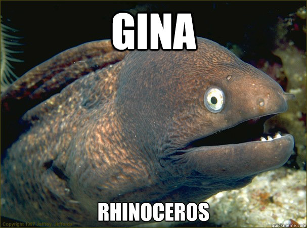 Gina  Rhinoceros   Bad Joke Eel