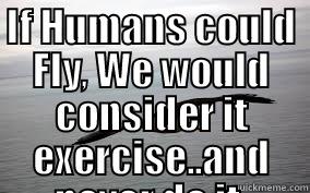 IF HUMANS COULD FLY,  WE WOULD CONSIDER IT EXERCISE..AND NEVER DO IT. Misc