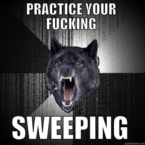 PRACTICE YOUR FUCKING SWEEPING Insanity Wolf