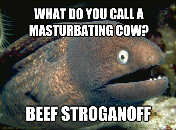 what do you call a masturbating cow? beef stroganoff - what do you call a masturbating cow? beef stroganoff  Bad Joke Eel