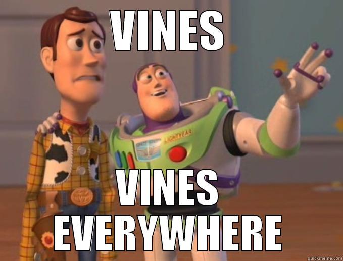 TOY STORY MEME - VINES VINES EVERYWHERE Misc