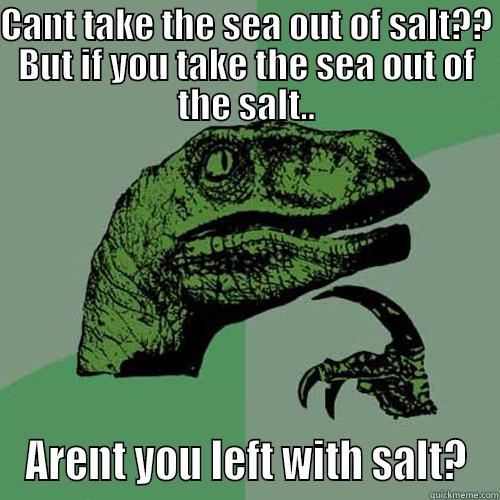 CANT TAKE THE SEA OUT OF SALT?? BUT IF YOU TAKE THE SEA OUT OF THE SALT.. ARENT YOU LEFT WITH SALT? Philosoraptor