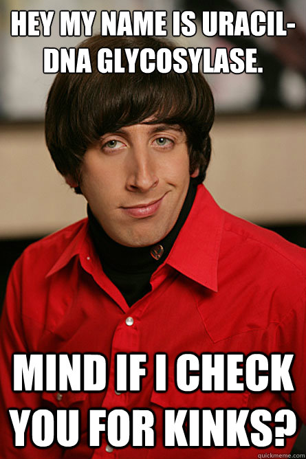 Hey my name is Uracil-DNA Glycosylase. Mind if I check you for kinks? - Hey my name is Uracil-DNA Glycosylase. Mind if I check you for kinks?  Pickup Line Scientist