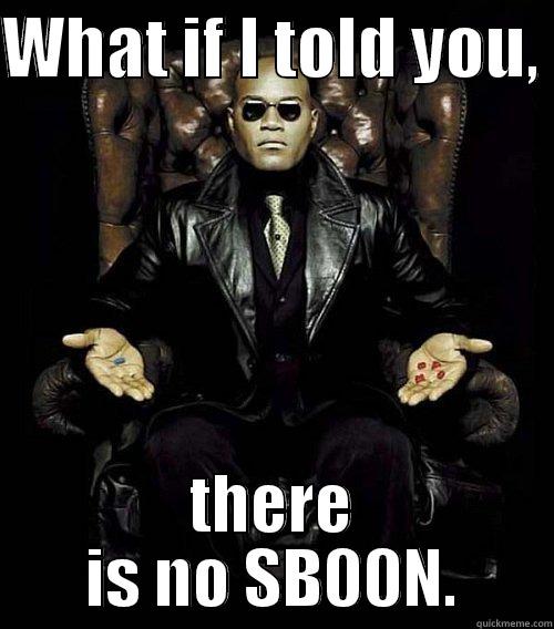 WHAT IF I TOLD YOU,  THERE IS NO SB00N. Morpheus