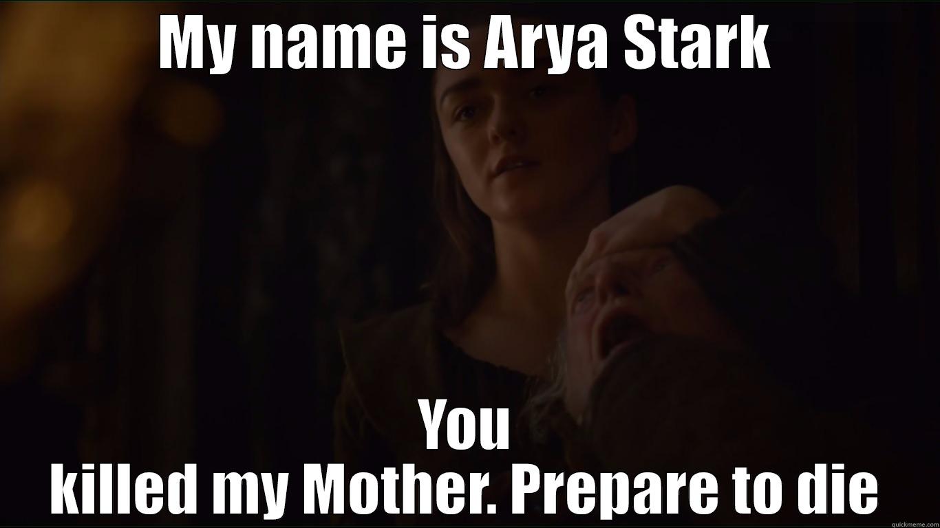 MY NAME IS ARYA STARK YOU KILLED MY MOTHER. PREPARE TO DIE Misc