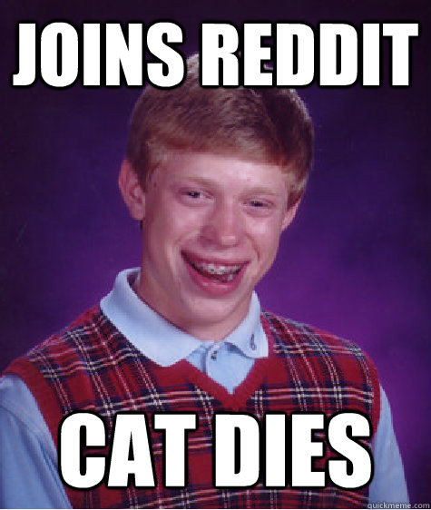 Joins reddit Cat dies  Bad Luck Brian