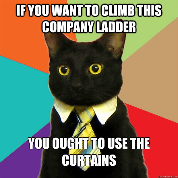 If you want to climb this company ladder you ought to use the curtains   Business Cat