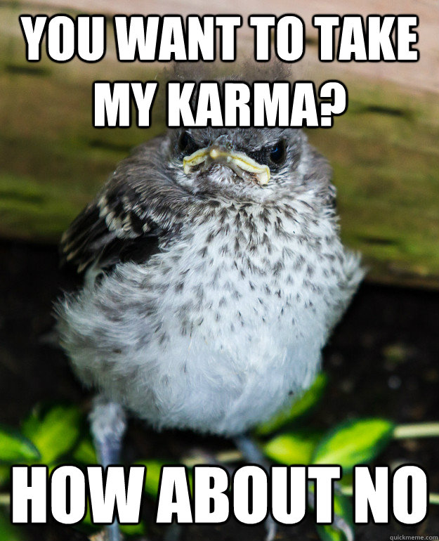 You want to take my karma?                                 How about no - You want to take my karma?                                 How about no  Misc