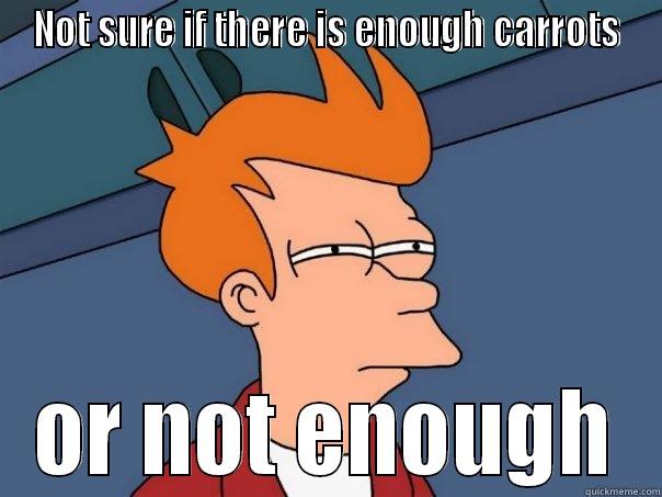 NOT SURE IF THERE IS ENOUGH CARROTS OR NOT ENOUGH Futurama Fry