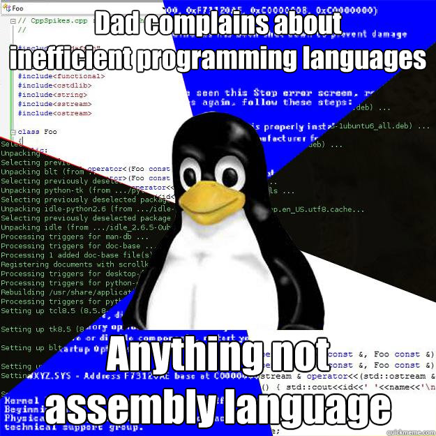 Dad complains about 
inefficient programming languages Anything not
assembly language  Computer Science Penguin