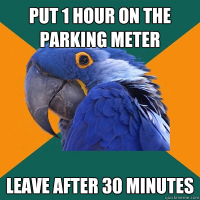 Put 1 hour on the parking meter Leave after 30 minutes  Paranoid Parrot