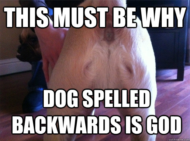 This must be why Dog spelled backwards is god  Jesus Butt Dog