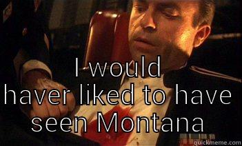  I WOULD LIKED TO HAVE SEEN MONTANA Misc