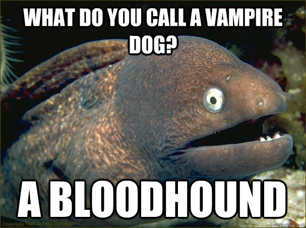 what do you call a vampire dog? a bloodhound  Bad Joke Eel