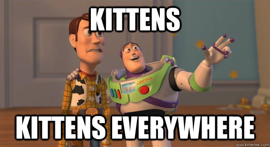 kittens kittens everywhere  Toy Story Everywhere