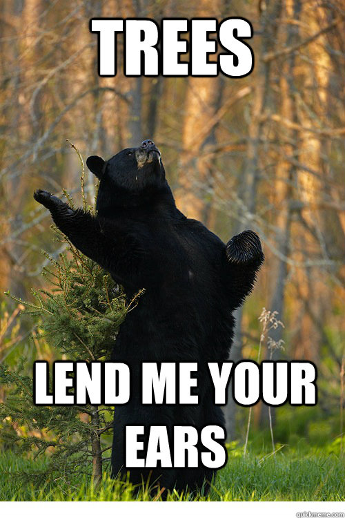 trees lend me your ears  Fabulous Bear