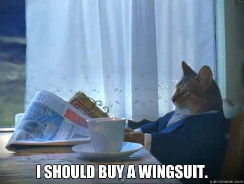  I should buy a wingsuit.  The One Percent Cat