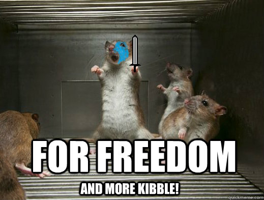 For freedom and more kibble!  