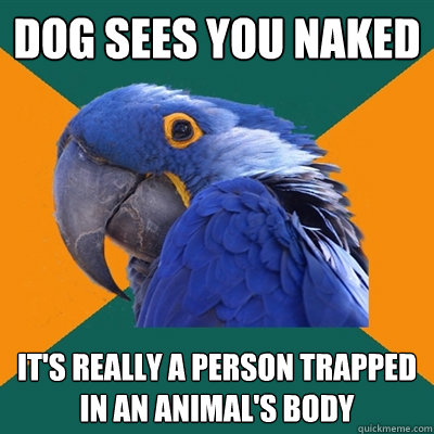 dog sees you naked it's really a person trapped in an animal's body  Paranoid Parrot