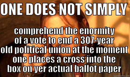 ONE DOES NOT SIMPLY  COMPREHEND THE ENORMITY OF A VOTE TO END A 307-YEAR OLD POLITICAL UNION AT THE MOMENT ONE PLACES A CROSS INTO THE BOX ON YER ACTUAL BALLOT PAPER Boromir