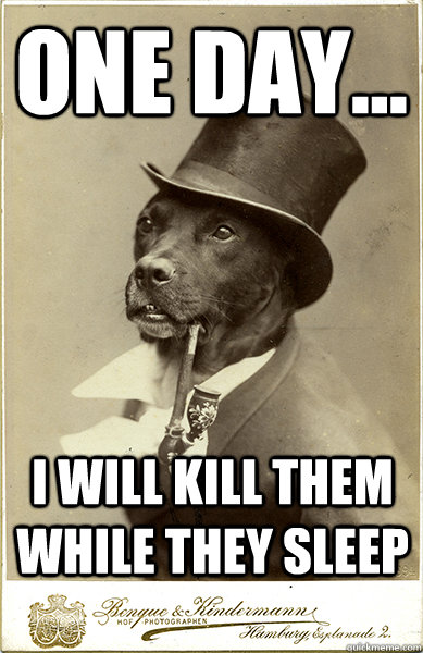 one day... i will kill them while they sleep - one day... i will kill them while they sleep  Old Money Dog