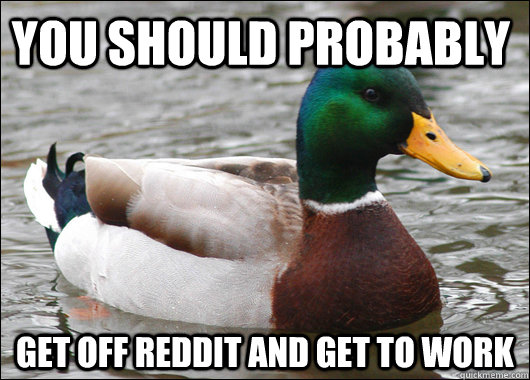 You should probably get off reddit and get to work  Actual Advice Mallard