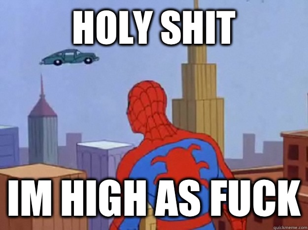 HOLY SHIT IM HIGH AS FUCK  