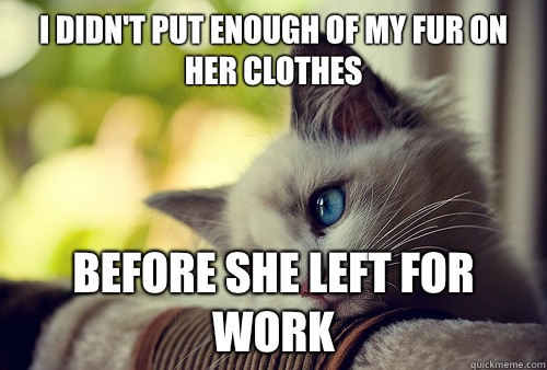 I didn't put enough of my fur on her clothes Before she left for work  First World Problems Cat