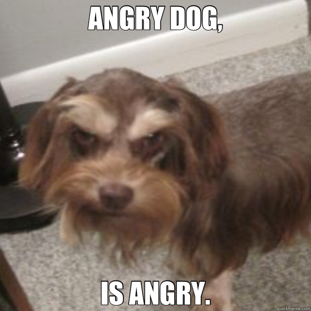 ANGRY DOG, IS ANGRY. - ANGRY DOG, IS ANGRY.  Misc