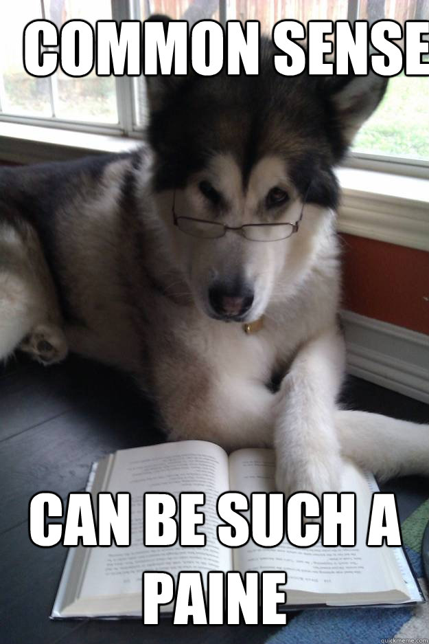 Common sense Can be such a Paine  Condescending Literary Pun Dog