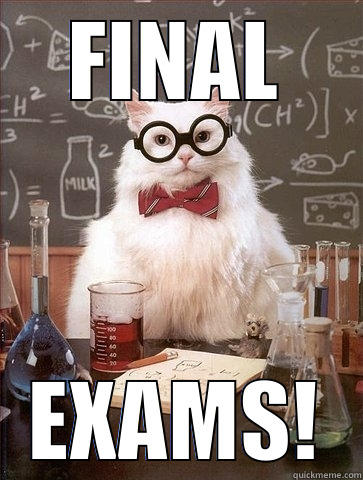 FINAL EXAMS! Chemistry Cat