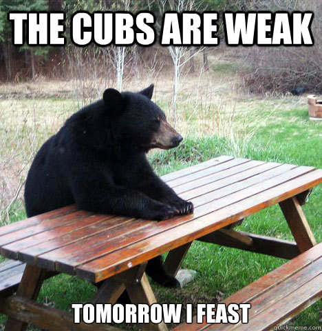 the cubs are weak tomorrow i feast  waiting bear