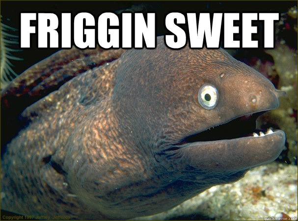 Friggin sweet   Bad Joke Eel