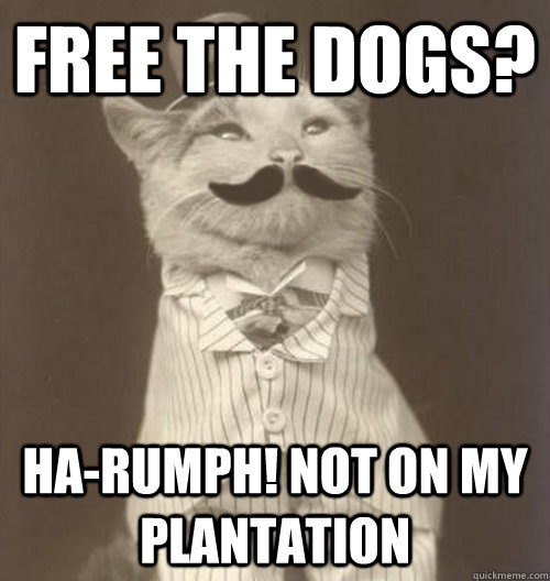 Free the dogs? Ha-rumph! Not on my plantation - Free the dogs? Ha-rumph! Not on my plantation  Original Business Cat