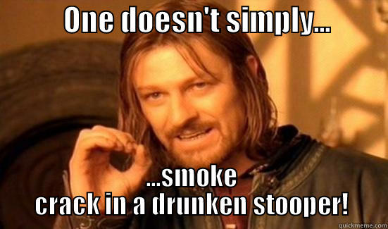            ONE DOESN'T SIMPLY...           ...SMOKE CRACK IN A DRUNKEN STOOPER! Boromir