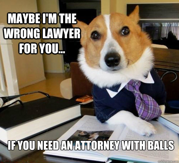 maybe i'm the wrong lawyer for you... if you need an attorney with balls  Lawyer Dog