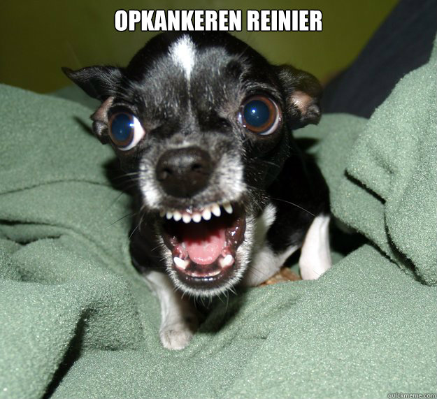 opkankeren reinier    Chihuahua Logic