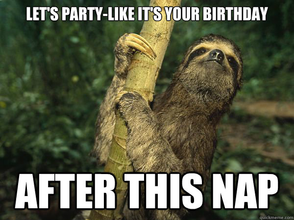 Let's party-like it's your birthday After this nap - Let's party-like it's your birthday After this nap  Birthday Sloth