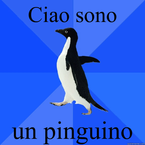 Ciao sono un pinguino   Socially Awkward Penguin