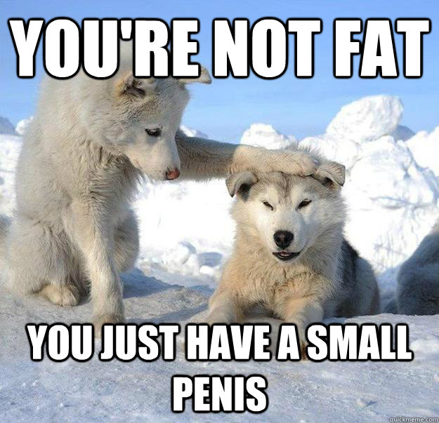 you're not fat
 you just have a small penis  Caring Husky