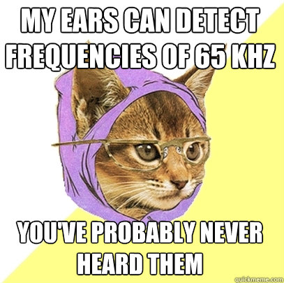 My ears can detect frequencies of 65 kHz You've probably never heard them - My ears can detect frequencies of 65 kHz You've probably never heard them  Hipster Kitty