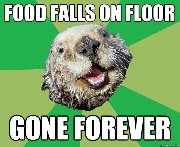 Food falls on floor gone forever  OCD Otter