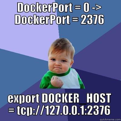 DOCKERPORT = 0 -> DOCKERPORT = 2376 EXPORT DOCKER_HOST = TCP://127.0.0.1:2376 Success Kid