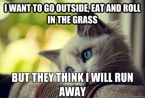 i want to go outside, eat and roll in the grass but they think i will run away - i want to go outside, eat and roll in the grass but they think i will run away  First World Cat Problems