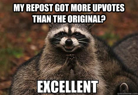 My repost got more upvotes than the original?  - My repost got more upvotes than the original?   evil racoon