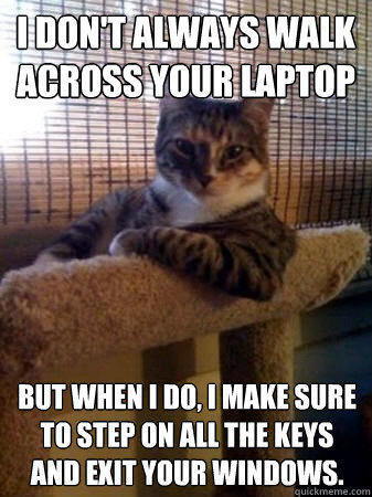 I don't always walk across your Laptop But when i do, i make sure to step on all the keys and exit your windows.  