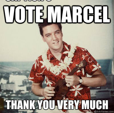 Vote Marcel Thank you very much Caption 3 goes here  