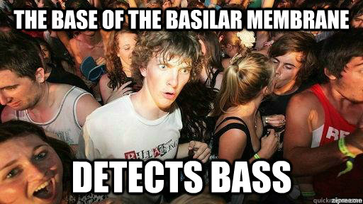 The base of the basilar membrane detects bass  Suddenly Clarity Clarence