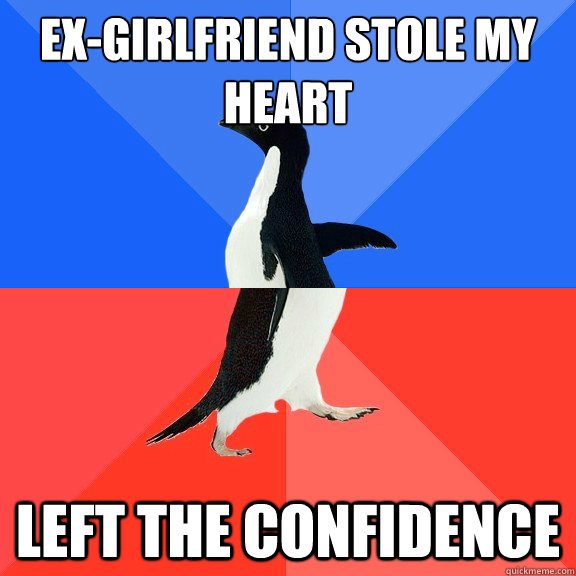 Ex-Girlfriend stole my heart Left the confidence - Ex-Girlfriend stole my heart Left the confidence  Socially Awkward Awesome Penguin
