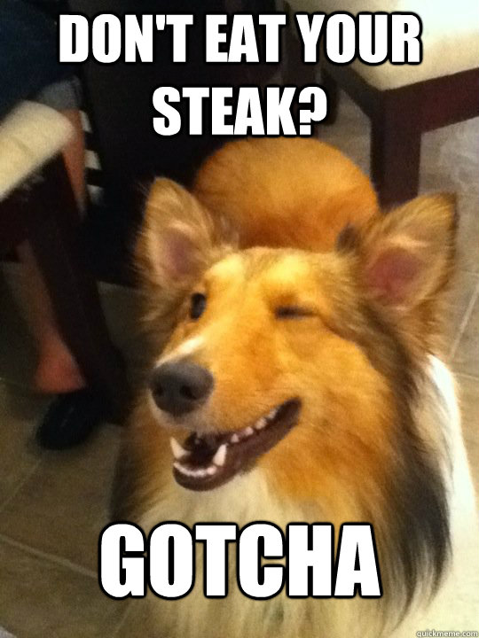Don't eat your steak? Gotcha  implying dog